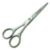 Professional Barber Scissors Full Stainless Silver 6 Inch